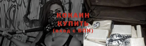 прущие грибы Наволоки