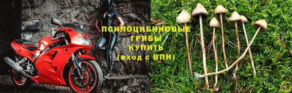 дмт Навашино