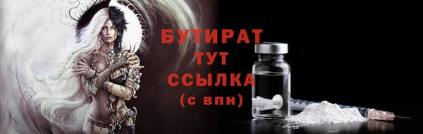 прущие грибы Наволоки