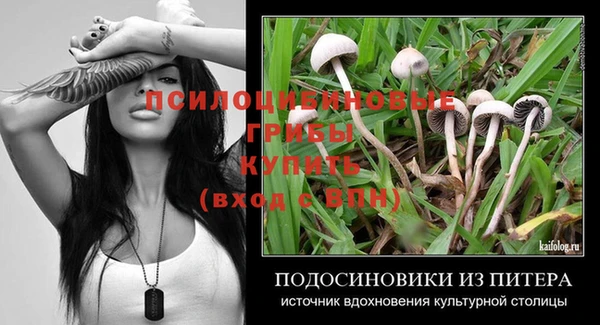 прущие грибы Наволоки
