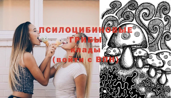 бутират Надым