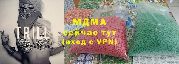прущие грибы Наволоки