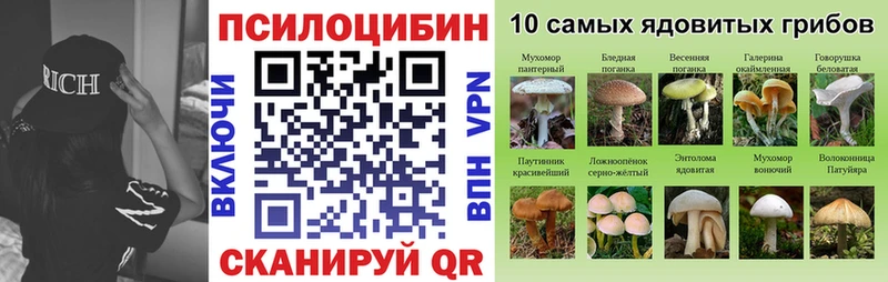 Галлюциногенные грибы мухоморы  Пущино 